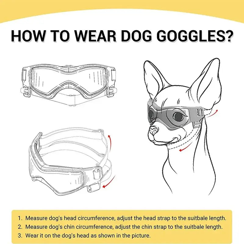 Adjustable dog sunglasses for small breeds, showing how to wear dog goggles with UV protection and secure fit