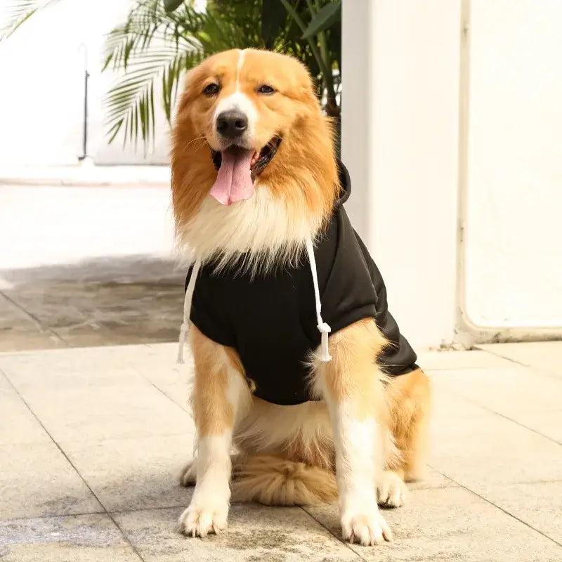 Large dog hoodie with pockets black fleece pet sweatshirt for Golden Retriever with hood, ideal for spring and autumn