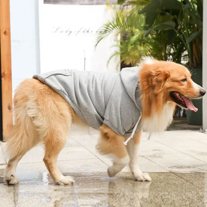 large dog hoodie with pockets gray fleece sweatshirt for Golden Retriever with hood for spring and autumn