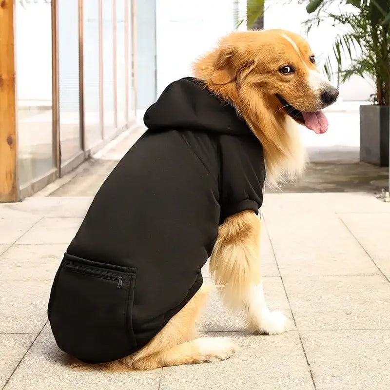 Golden Retriever wearing a black large dog hoodie with pockets, hood, and zip pocket for spring and autumn pet comfort