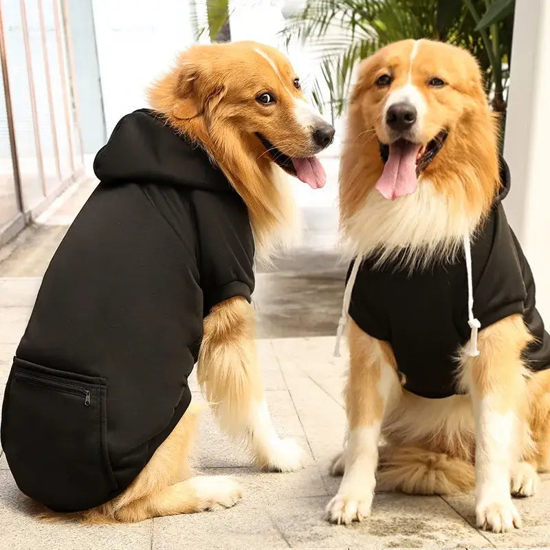 large dog hoodie with pockets for Golden Retriever dogs, black fleece pet hoodie with hat and zip pocket