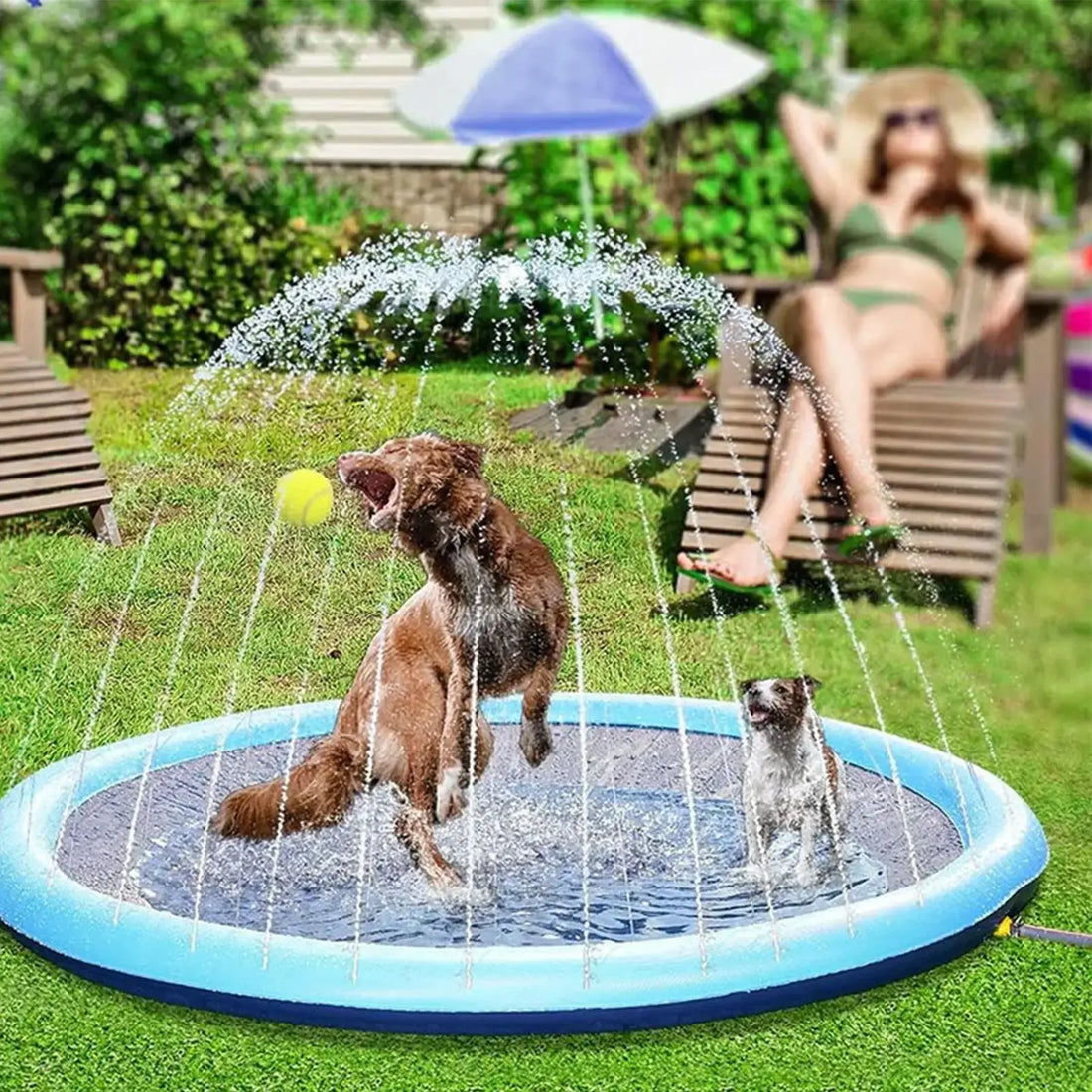 Large inflatable dog pool featuring dogs playing in water and a woman relaxing in a garden setting.