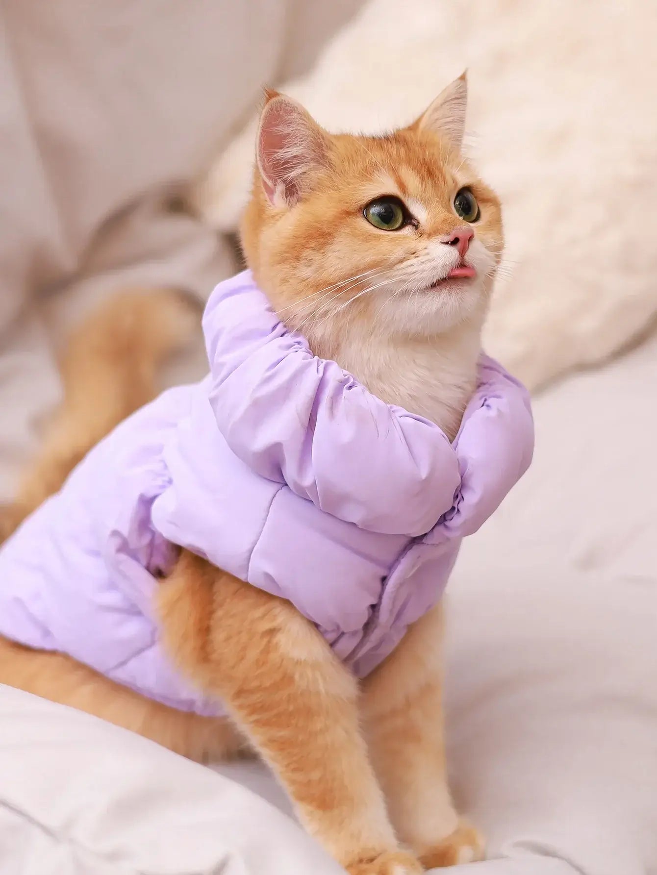 Purple dog winter coat for small to medium dogs, 3-layer thick warm autumn/winter polyester outerwear, solid color