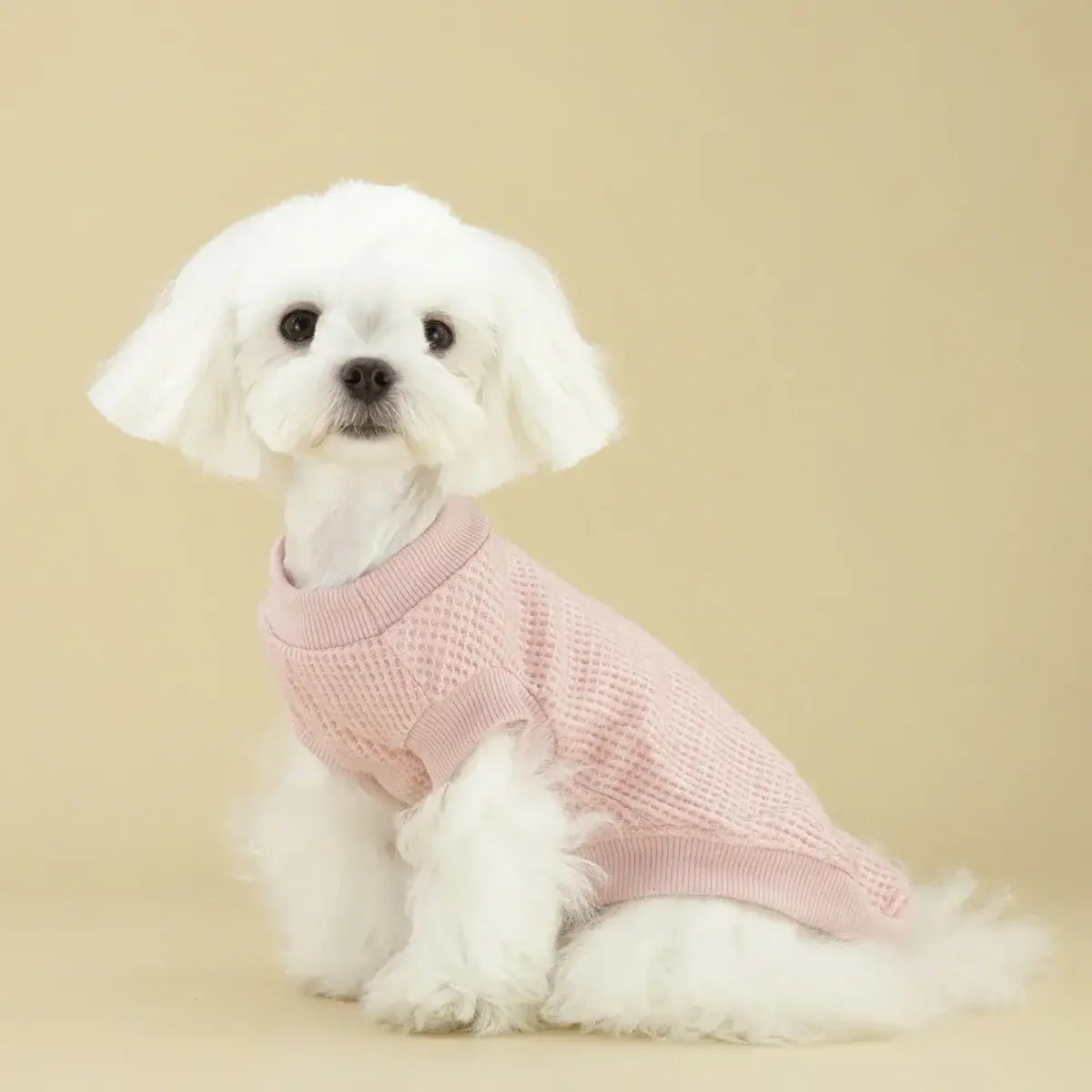 lightweight dog sweater for small dogs pink sweater on small white puppy Chihuahua Yorkie style pet clothes