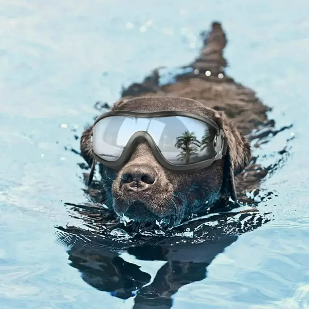 dog sunglasses for large dogs, black adjustable anti-UV eye protection goggles for swimming and outdoor use