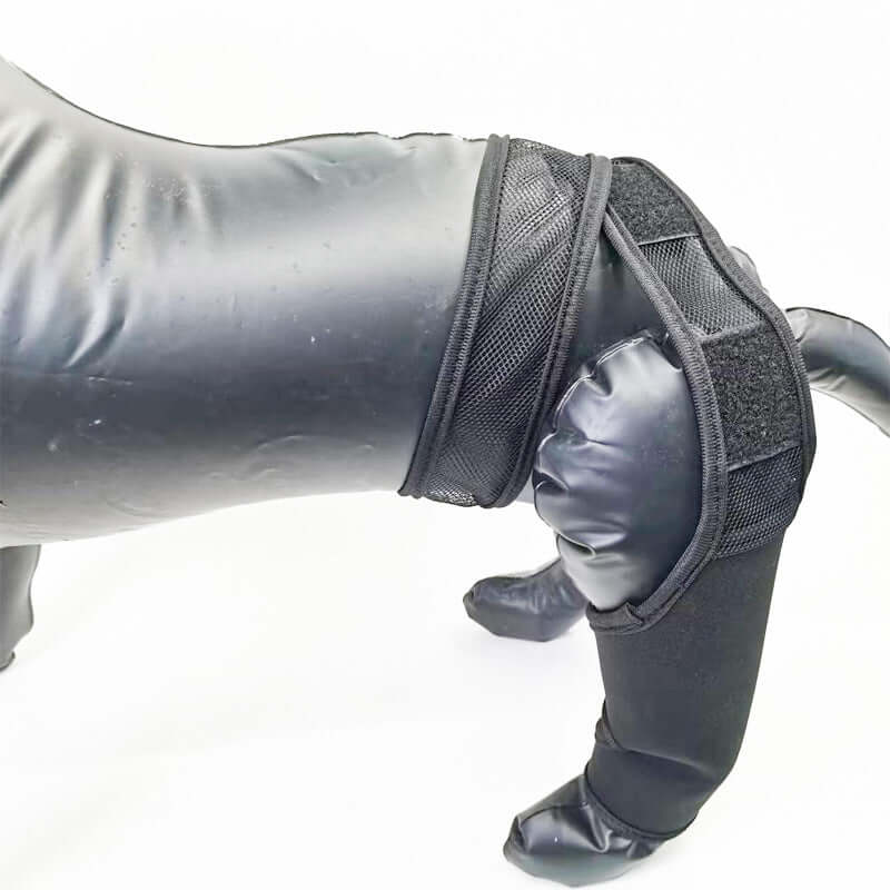 Black neoprene dog leg fracture protective gear for injured pets, showcasing front and rear leg support.