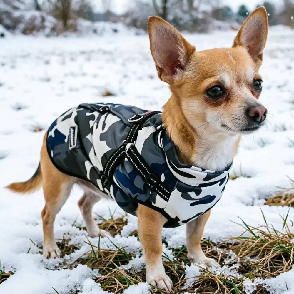 Pet Dog Jacket For Small Medium Dogs Cats Winter Warm Clothes With Harness Chihuahua French Bulldog Pug Outfits Puppy Vest Coats
