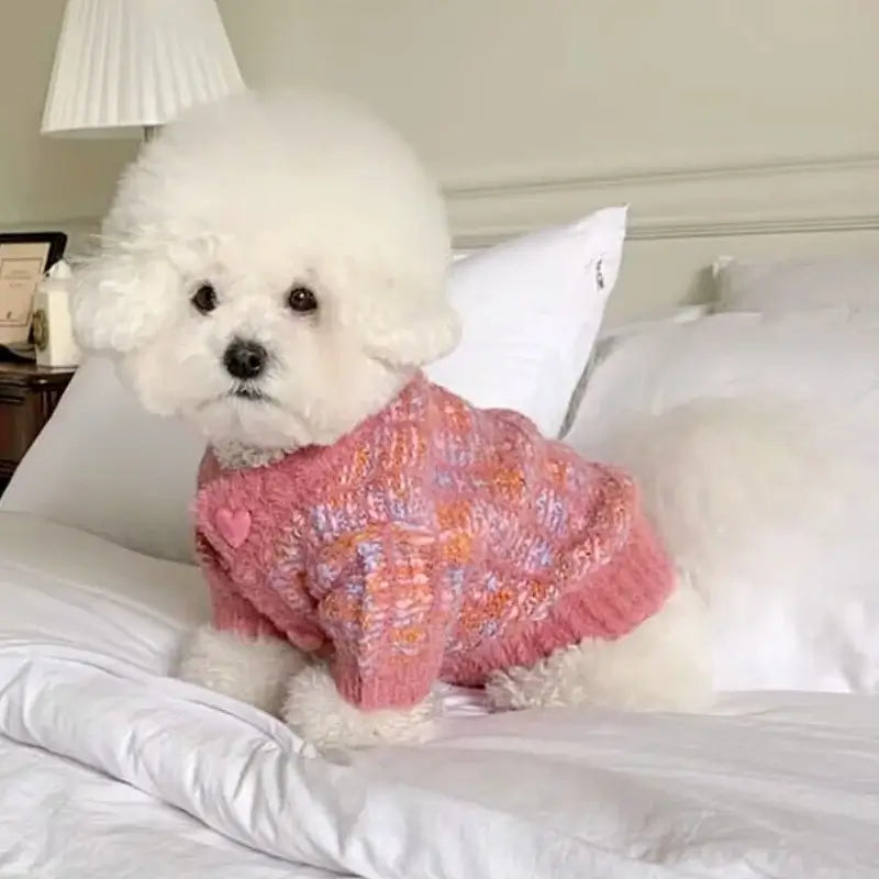 Pet Dog Sweaters for Small Dogs Winter Warm Dog Clothes Fashion Puppy Cardigan Sweater Cute Solid Cat Knitted Coat Pet Costumes