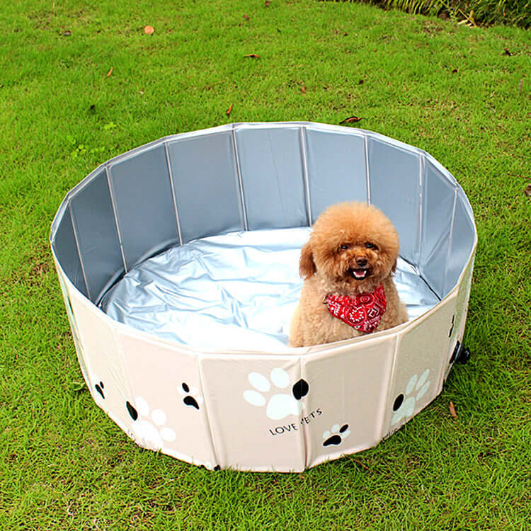 Cute dog in a portable dog swimming pool tub on grass, ideal for indoor and outdoor bathing.