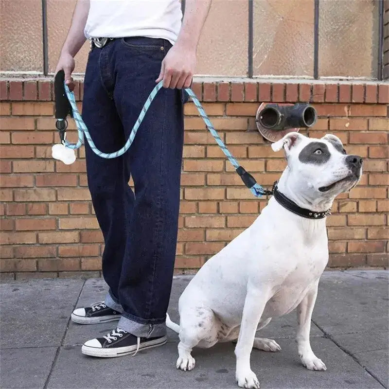 Reflective Dog Leash With Comfortable Padded Handle - Double Heavy Duty Traction Rope For Strong Dogs - Enhance Safety And Contr.
