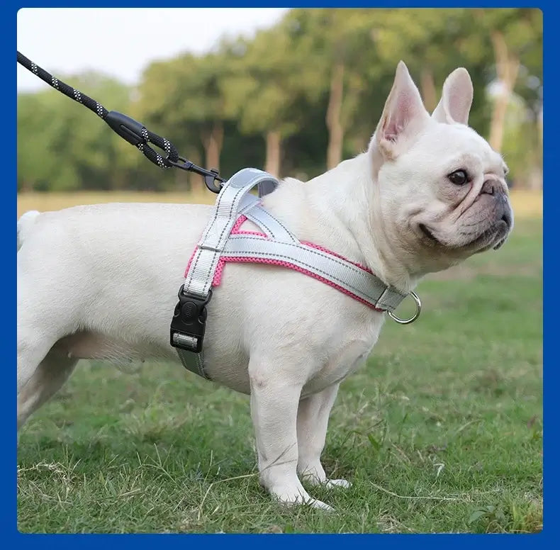 NEW Dogs Harness Saddle-type Pet Chest Strap for Small Medium Large Dogs Harnesses Puppy Collar Outdoor Walking Dogs Supplies