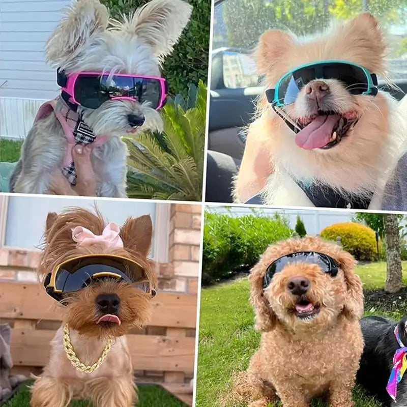 small breed dog goggles for outdoor sun protection, windproof UV-blocking sunglasses for tiny dogs