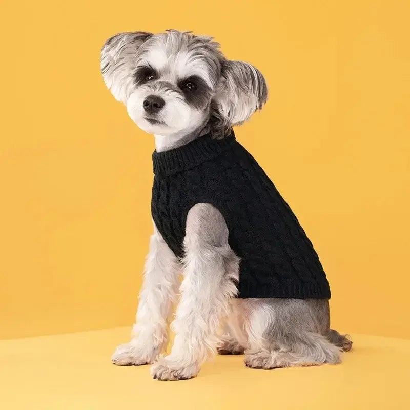 small dog winter sweater for Chihuahua and Yorkie, black knitted turtleneck pet vest for cold weather
