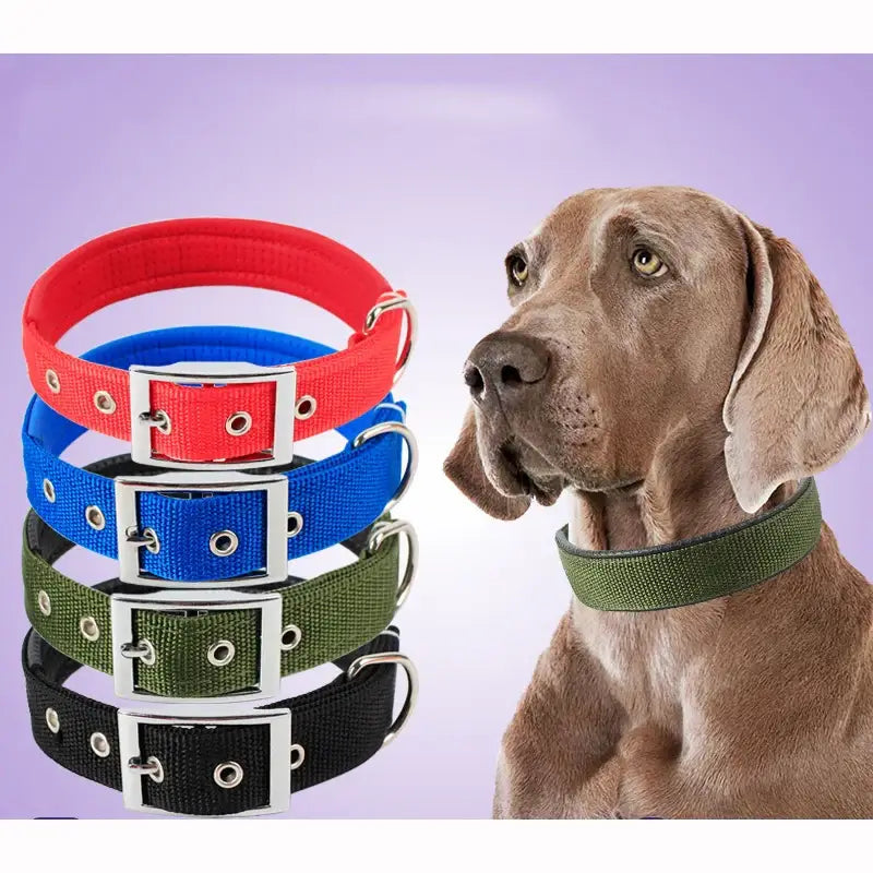 Solid Dog Collars Nylon Dog Collar For Small Medium Large Dogs Teddy Keji Pitbull Bulldog Beagle in various colors.