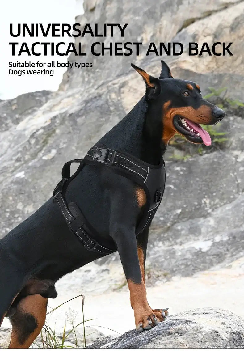 Dog wearing a tactical chest and back harness, showcasing its versatility for all body types.