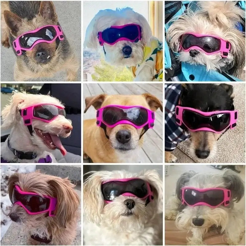 dog uv protective goggles for small and medium dogs, pink UV sunglasses for outdoor riding and pet protection