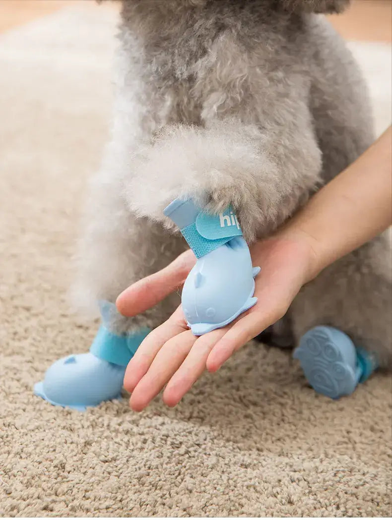 A hand holding a blue waterproof dog boot while fitting it onto a small dog&