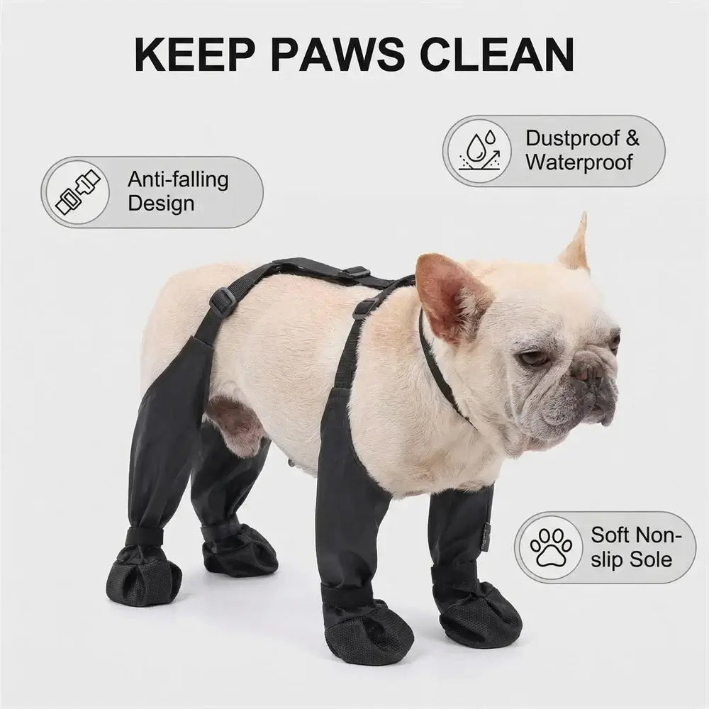 Waterproof dog boots non-slip on a French Bulldog, designed to keep paws clean and dry during outdoor walks.