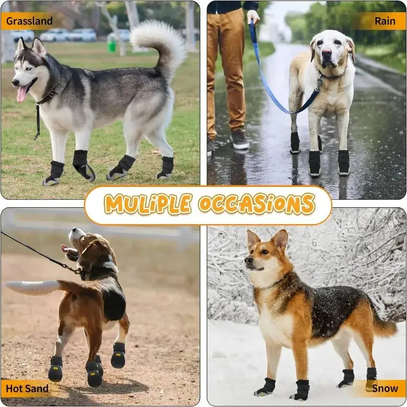 4pcs/set waterproof outdoor dog boots on dogs in various settings: grassland, rain, hot sand, and snow.