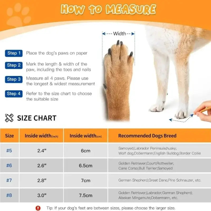 How to measure your dog&