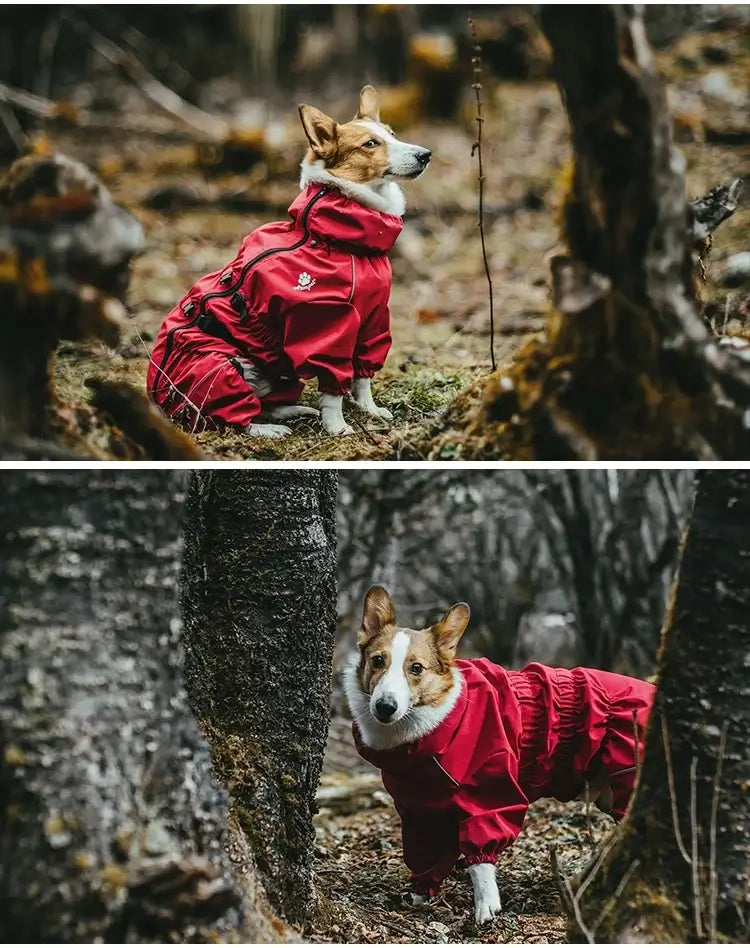 waterproof dog winter coat red reflective raincoat for medium large dogs, warm outdoor jacket for walking and training