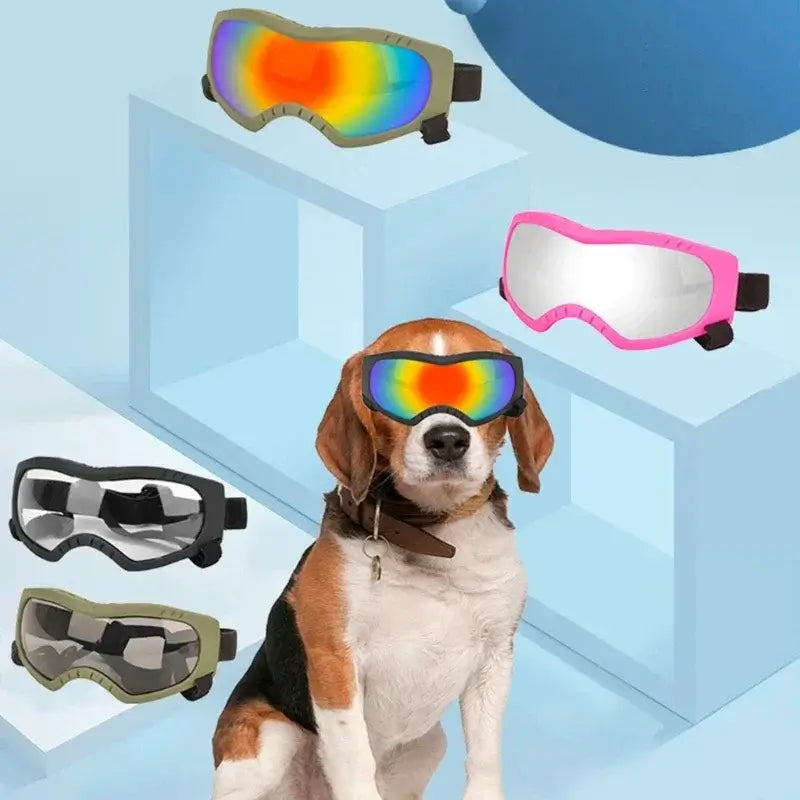 dog sunglasses for outdoor eye protection, windproof sports eyewear for pets