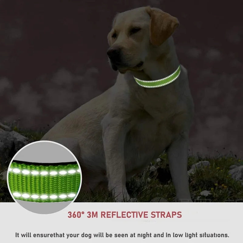 Choker Small Dog Collar Puppy Neck Collars for Dogs Big Decorative Dog Collar GXQ07 with 360° reflective straps.