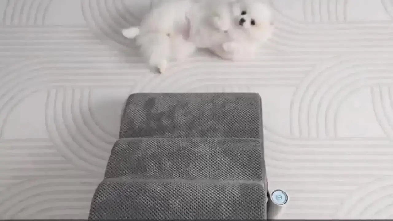 Curved dog ramp for high beds featuring soft grey carpeted steps and a playful dog lying nearby.
