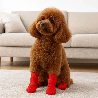 waterproof dog boots on a small brown poodle, red non-slip pet shoes for indoor and outdoor winter protection