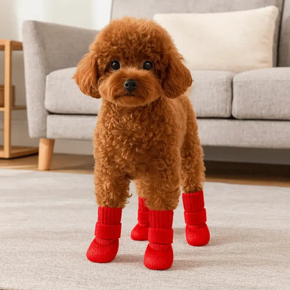 Cute small dog wearing waterproof dog boots indoors for non-slip, comfortable, wear-resistant paw protection in winter