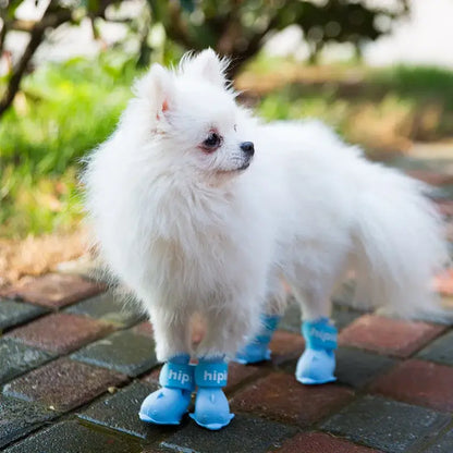 Small white pomeranian dog wearing waterproof dog boots on a brick path in an outdoor setting.