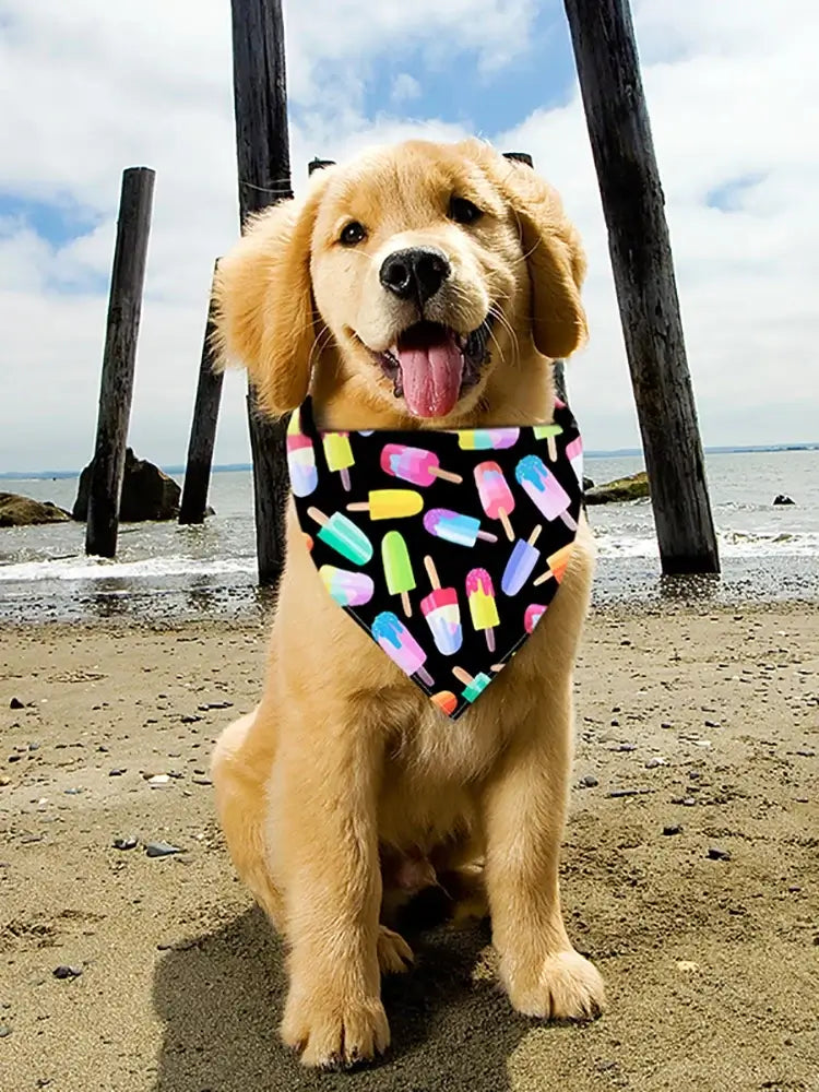 bulk dog bandanas colorful summer dog bandana on golden retriever at the beach