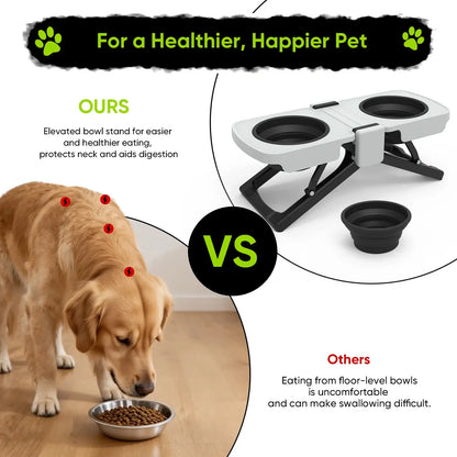 portable elevated dog bowls stand with collapsible silicone double diner bowl, 5 cups capacity, travel-friendly food and water set