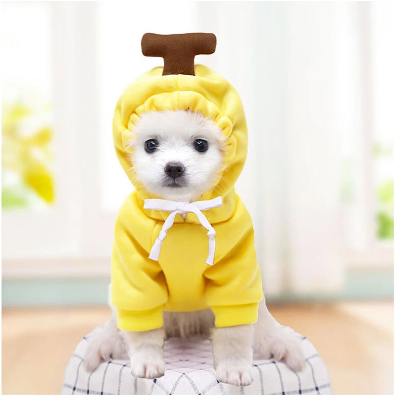 H06fb0f67f6f748cdbc9dbe147d2a11b6X - bestdoggylife.shop