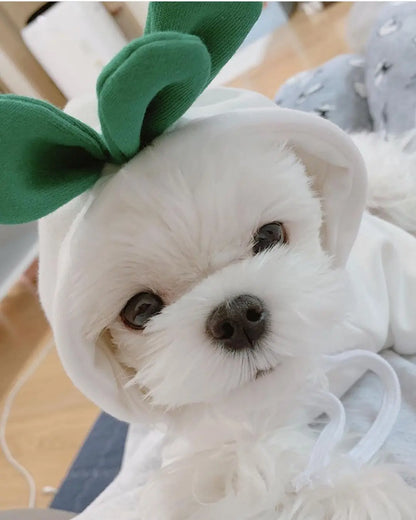 H099bff6d4cef4d278443c029ec97324bv - bestdoggylife.shop