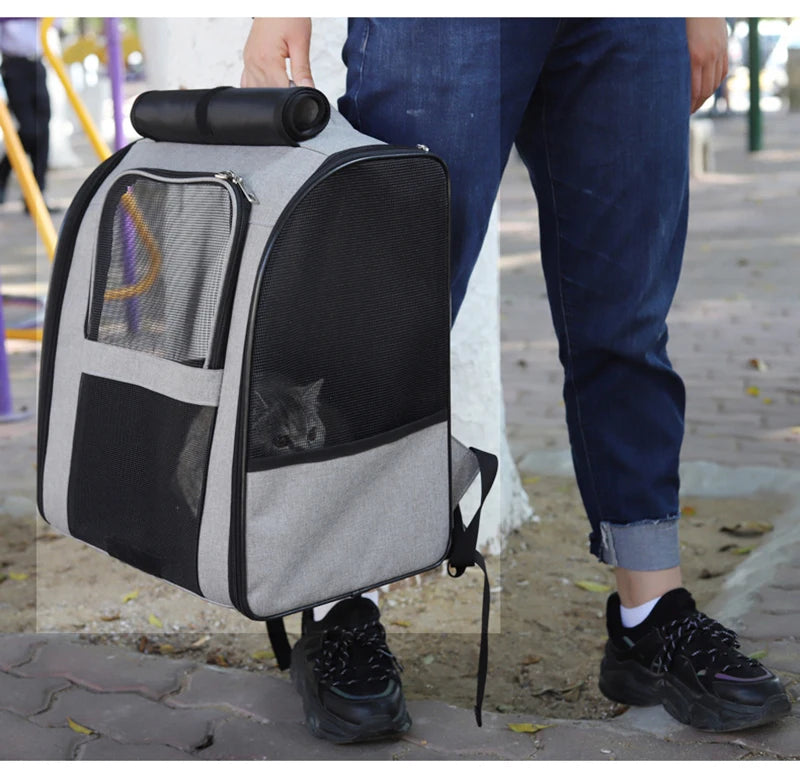Breathable cat carrier backpack with mesh panels, foldable travel design, and secure zipper for cats and small dogs