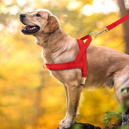 personalized no pull dog harness red adjustable leash vest for medium large dogs, free engraving