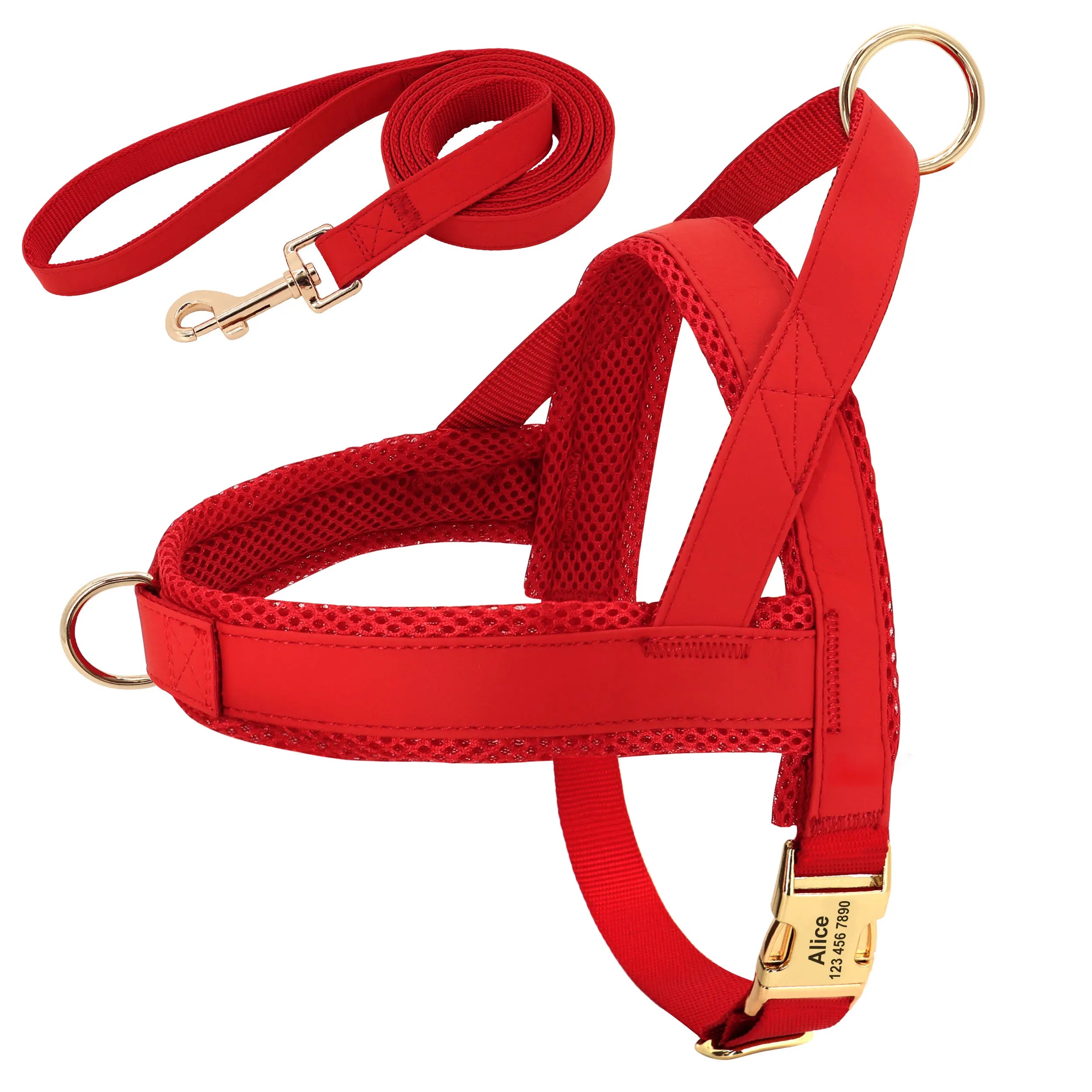 Personalized Dog Harness Leash Set No Pull Dog Harnesses Adjustable Pet Vests For Small Medium Large Dogs Pets Walking Lead Rope