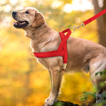 personalized no pull dog harness leash set for large dogs, red adjustable leather pet vest with leash for walking