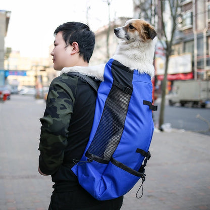 Man carrying a dog in a breathable dog backpack carrier for outdoor travel and walking