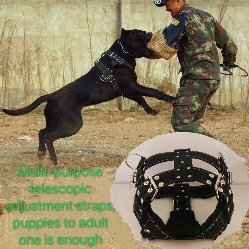 large dog harness for pit bull training, durable adjustable nylon vest harness for strong dogs