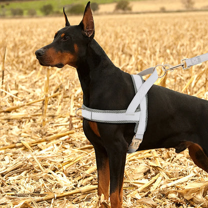 personalized no pull dog harness on a black and tan dog, adjustable pet walking training vest with free engraving