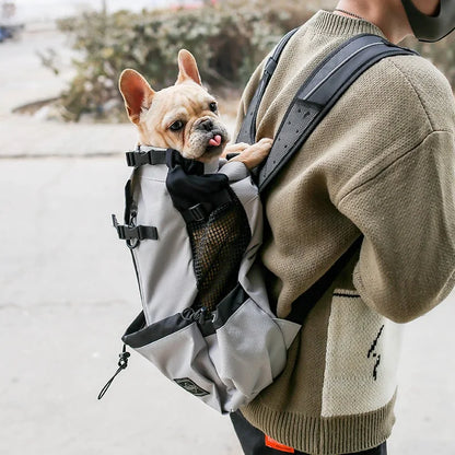 French bulldog in a breathable dog backpack carrier for hands-free outdoor travel and walking