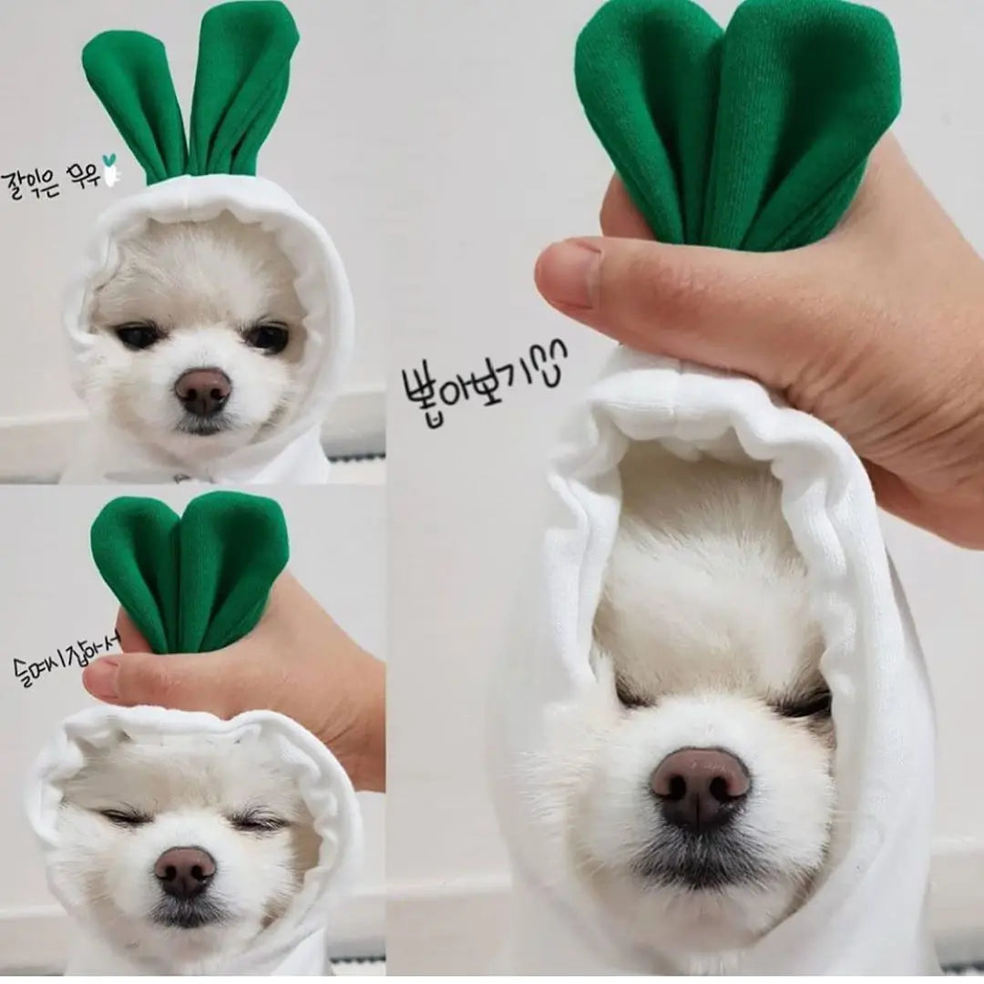 H45d52bf500a549808985b0669b18d5adT - bestdoggylife.shop