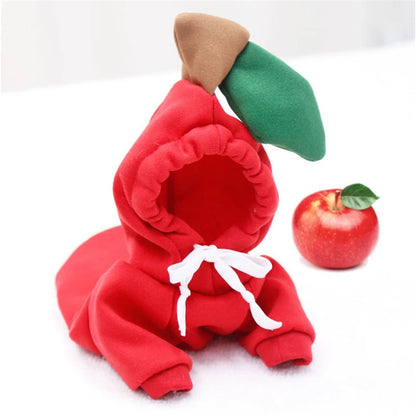 H6b3508848214442b9abbf97161bc100br - bestdoggylife.shop