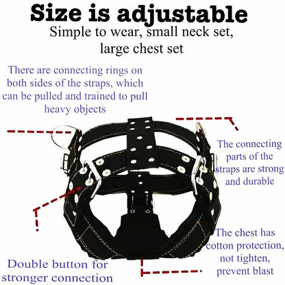 Adjustable large dog harness with padded cotton chest support, strong buckle connections, and leash rings for heavy-duty use