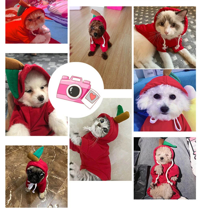 H6f8d6d89102148eab84421dd2824551b1 - bestdoggylife.shop