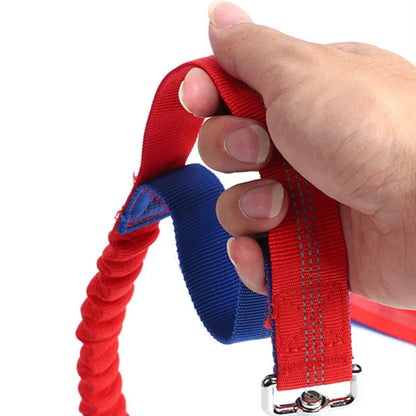 H710df5230dca43528c89d17cac05a6a7S - bestdoggylife.shop