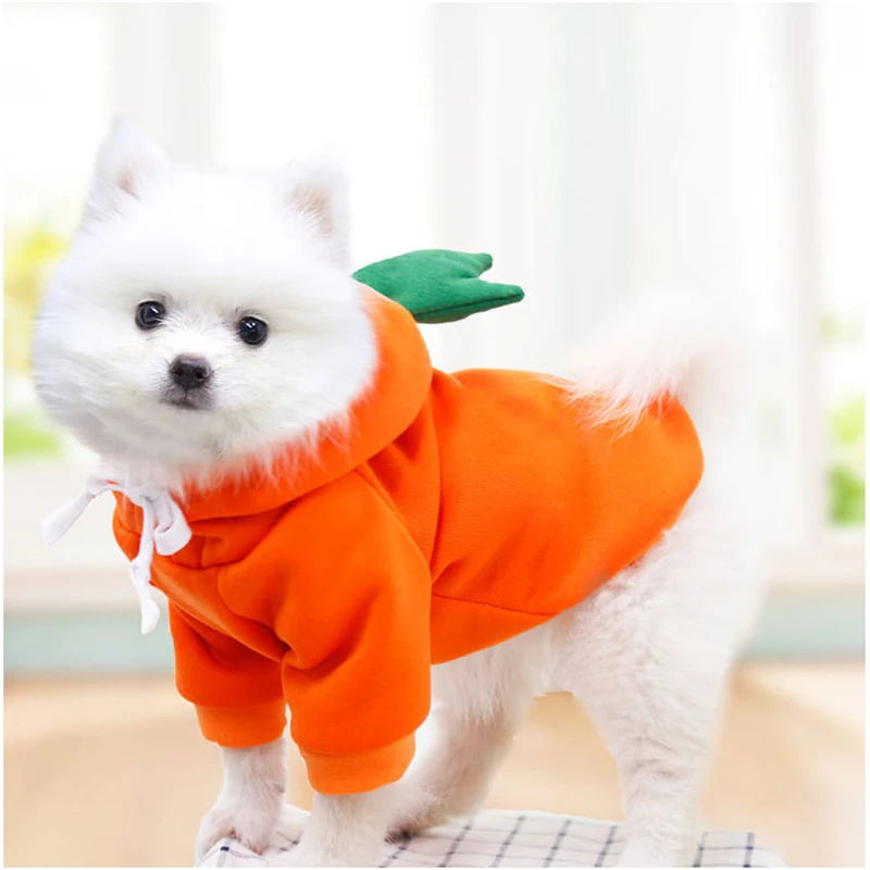 H7177c14fb67947f9ae7897d268a1e33bE - bestdoggylife.shop