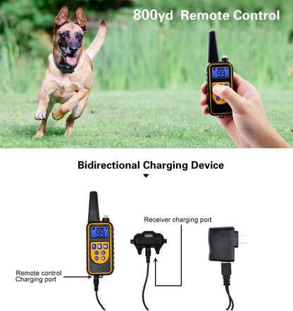 H9660921022ae4726a82b8c90a4475592o - bestdoggylife.shop